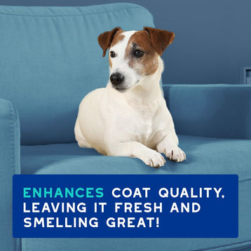 Szampon neutralizujący zapach dla psów DOUXO® SPA Odor Control Shampoo