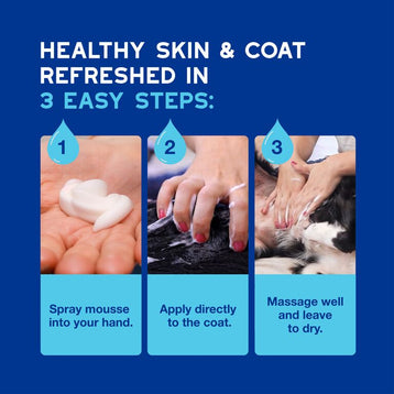 Pianka bez spłukiwania dla psów DOUXO® SPA Quick refresh dog Mousse