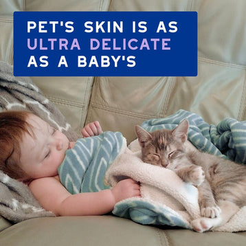 Pianka bez spłukiwania dla kotów DOUXO® SPA Low-stress refresh cat Mousse