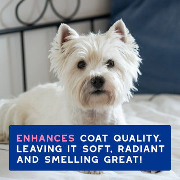 Szampon łagodzący swędzenie dla psów DOUXO® SPA Itch Soothing Shampoo