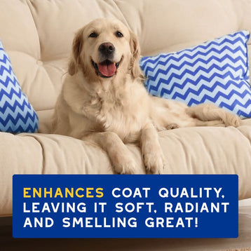 Szampon nawilżający dla psów DOUXO® SPA Hydrating Shampoo