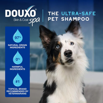 Pianka bez spłukiwania dla psów DOUXO® SPA Quick refresh dog Mousse