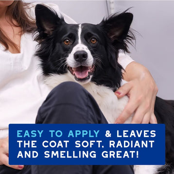 Pianka bez spłukiwania dla psów DOUXO® SPA Quick refresh dog Mousse