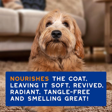 Spray ułatwiający rozczesywanie dla psów DOUXO® SPA Detangling Spray