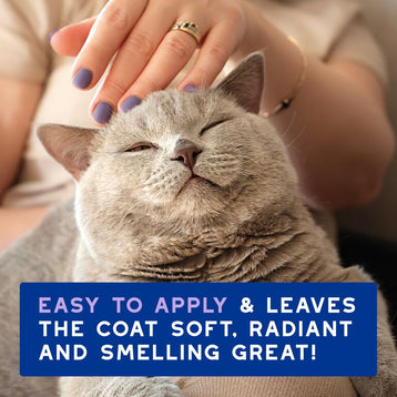 Pianka bez spłukiwania dla kotów DOUXO® SPA Low-stress refresh cat Mousse